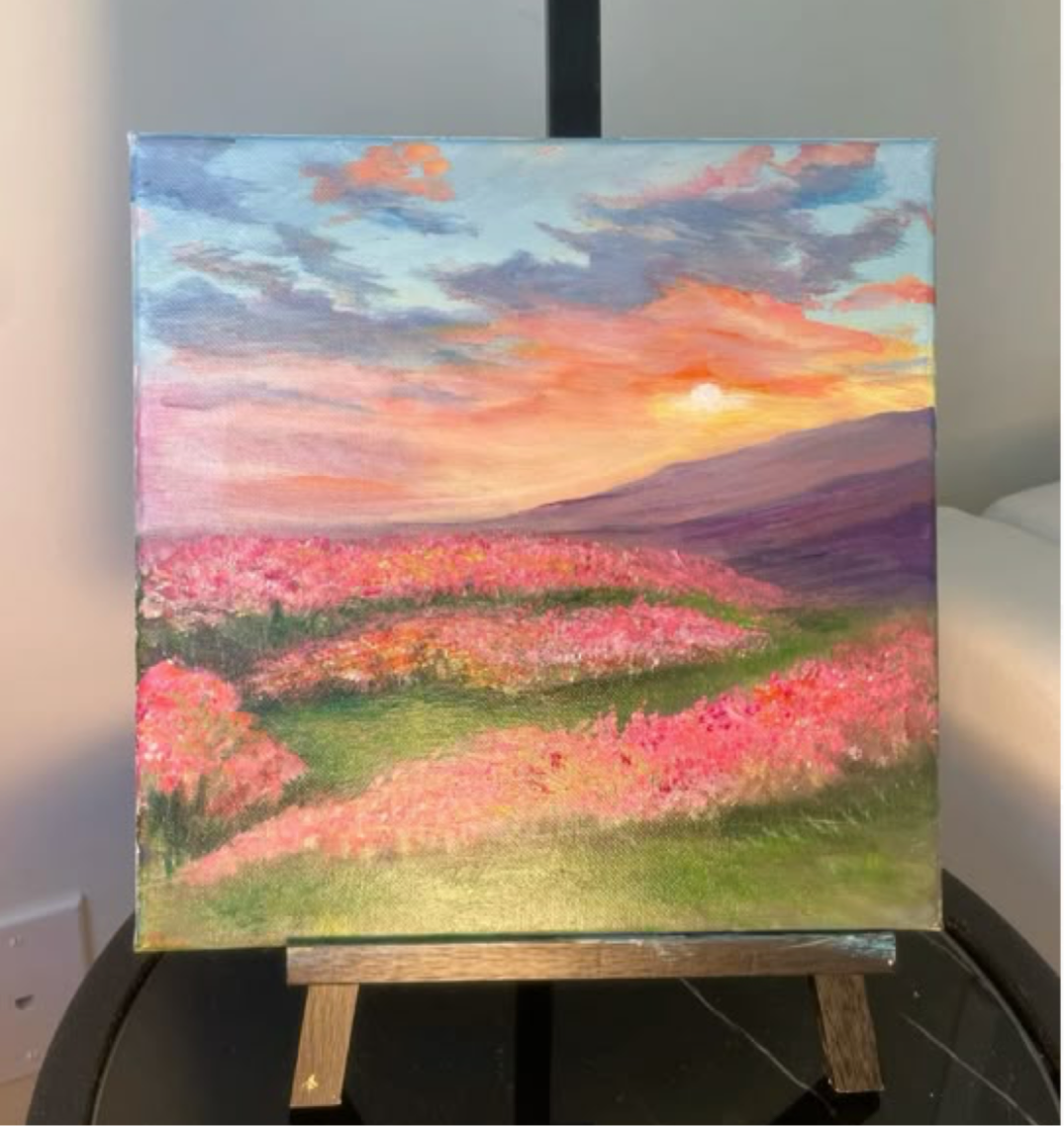 Sunset over Flowers